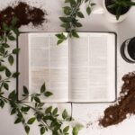 Beginner’s Bible Study Guide: Exploring the Word of God