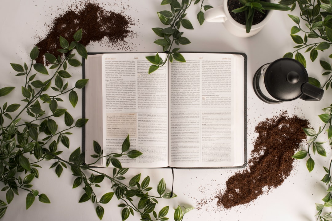 Beginner’s Bible Study Guide: Exploring the Word of God